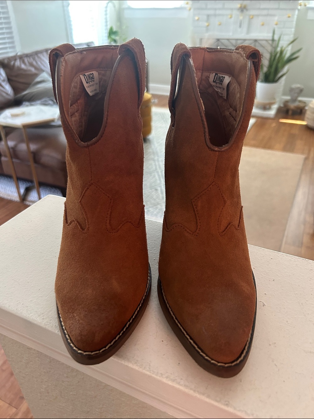 Dingo Western Bootie Whisky 7.5